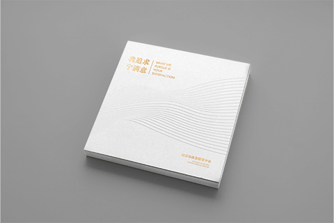 南京市政務(wù)服務(wù)中心 · 企業(yè)畫冊設(shè)計(jì)